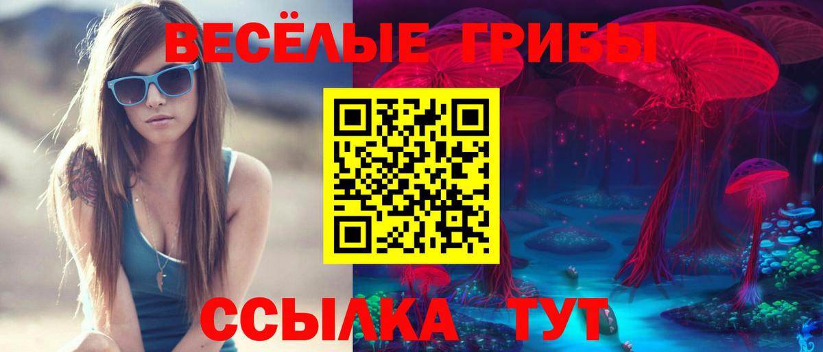 Галлюциногенные грибы GOLDEN TEACHER  Вход с VPN  Можайск 